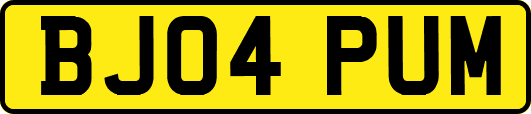 BJ04PUM
