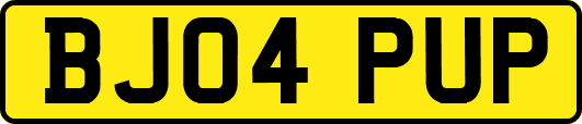 BJ04PUP