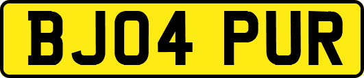 BJ04PUR