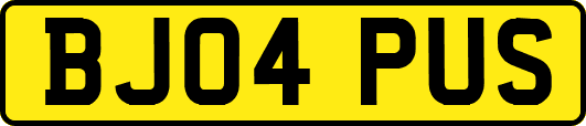 BJ04PUS