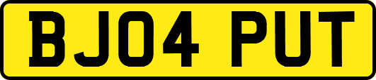 BJ04PUT