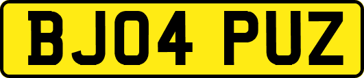 BJ04PUZ