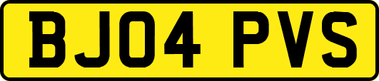 BJ04PVS