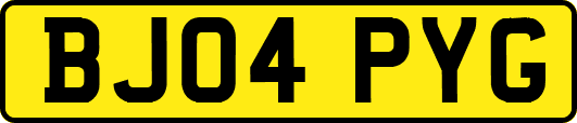 BJ04PYG