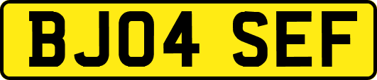 BJ04SEF