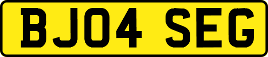 BJ04SEG