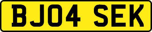 BJ04SEK
