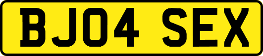 BJ04SEX