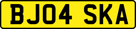 BJ04SKA