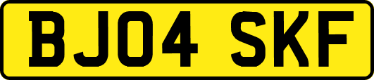 BJ04SKF
