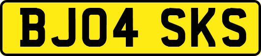 BJ04SKS