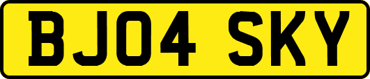 BJ04SKY