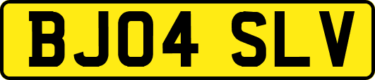 BJ04SLV