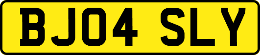BJ04SLY
