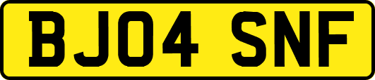 BJ04SNF