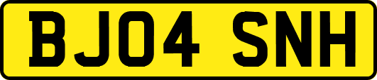 BJ04SNH