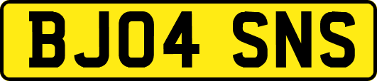 BJ04SNS
