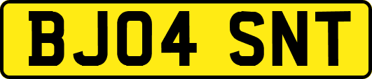 BJ04SNT