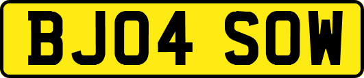 BJ04SOW
