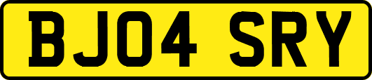 BJ04SRY