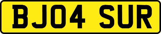 BJ04SUR