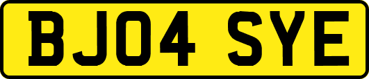 BJ04SYE