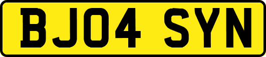 BJ04SYN