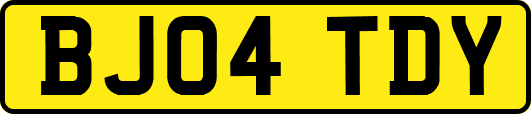 BJ04TDY