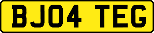 BJ04TEG