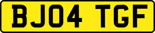 BJ04TGF