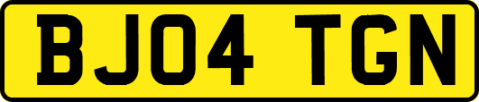 BJ04TGN