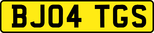 BJ04TGS