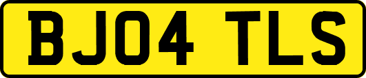 BJ04TLS