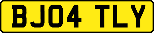 BJ04TLY