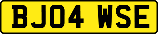 BJ04WSE
