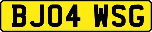 BJ04WSG