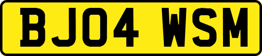 BJ04WSM