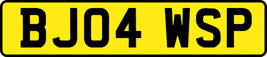 BJ04WSP