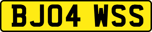 BJ04WSS