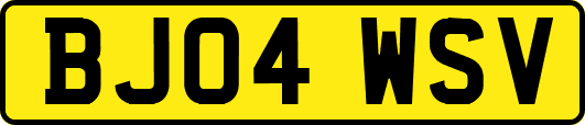 BJ04WSV