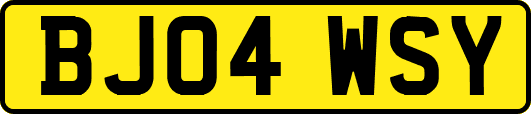 BJ04WSY