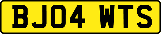 BJ04WTS