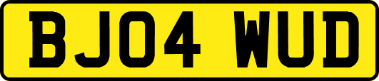 BJ04WUD