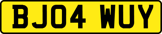 BJ04WUY
