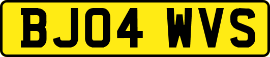BJ04WVS