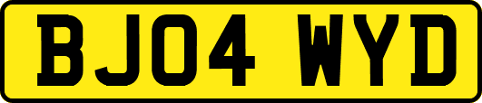 BJ04WYD