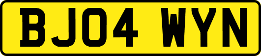 BJ04WYN