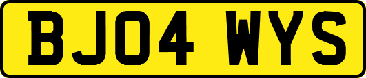 BJ04WYS