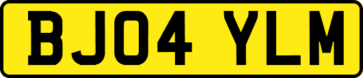 BJ04YLM