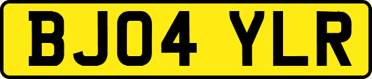 BJ04YLR
